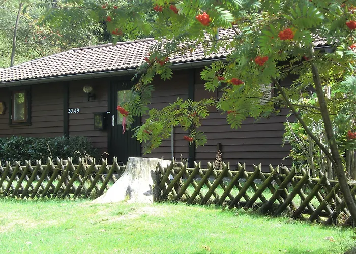 Waldsee Feriendienst 'ferienpark Am Waldsee' 3*