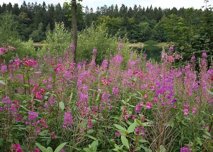 Waldsee Feriendienst 'ferienpark Am Waldsee' Vakantiepark